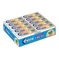 Wrigleys Extra Professional Single Extra Melon 10er