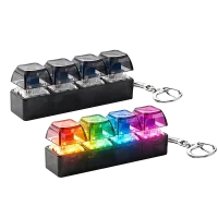 Hype-Keychain Small V1