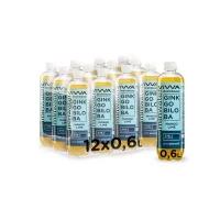 Viwa Ginkgo Biloba Mango Lime 600ml